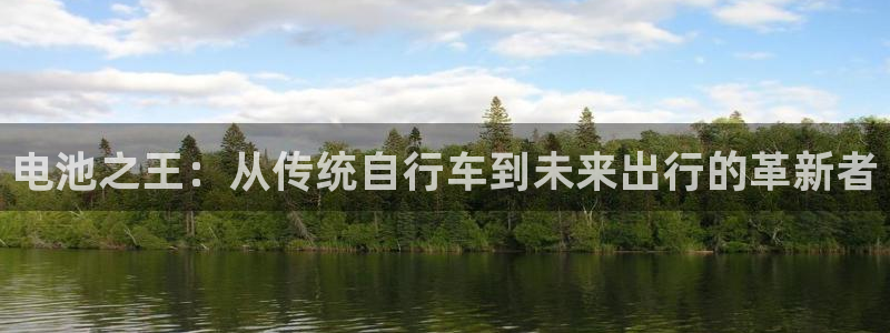 tp钱包下载进不去怎么办：电池之王：从传