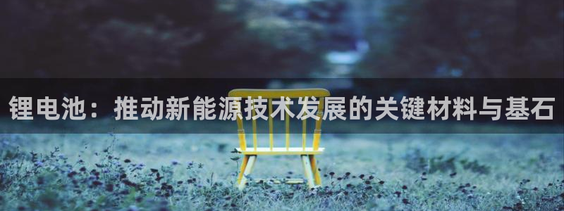 tp钱包一键迁移：锂电池：推动新能源技术